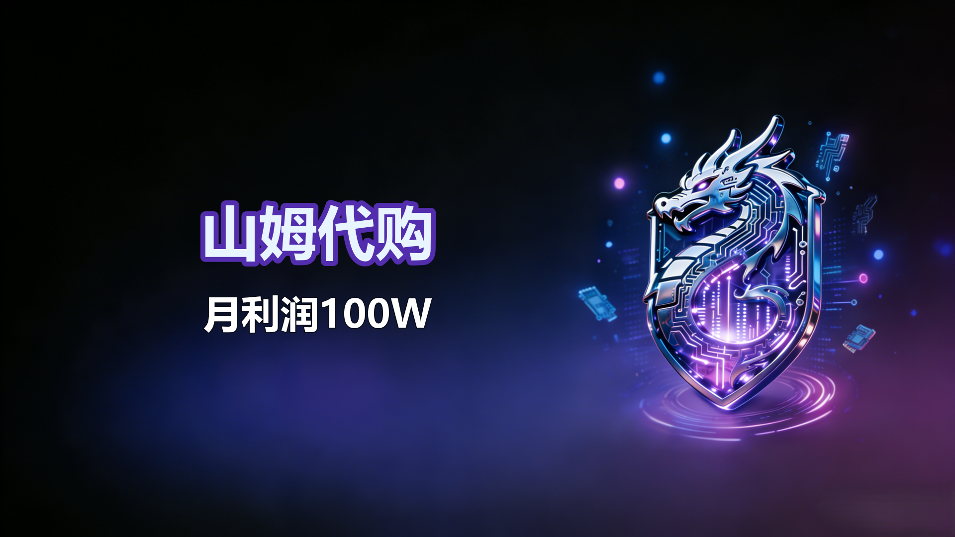 山姆代购-月利润100W