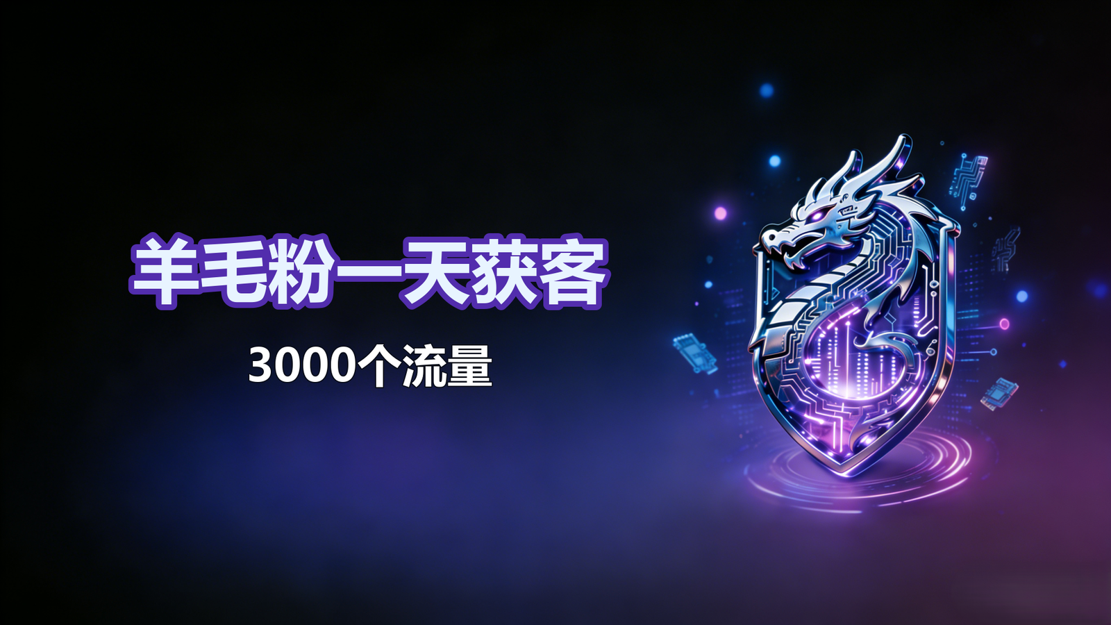 羊毛粉一天3000个流量